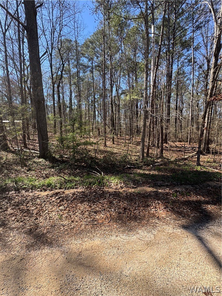 Residential Lot in Vance, AL
