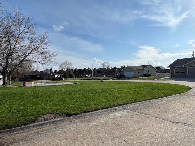 Picture 4
