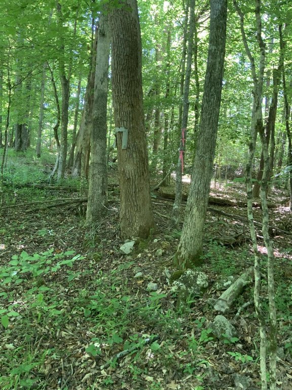 Picture 11