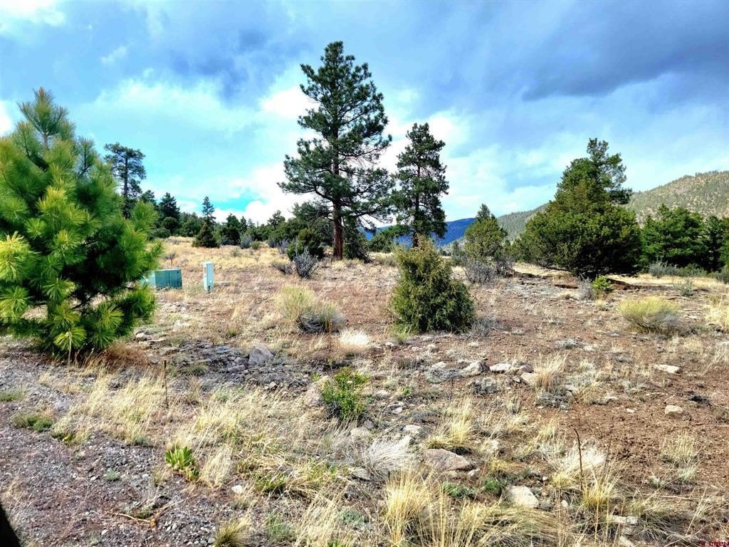 Land in South Fork, CO