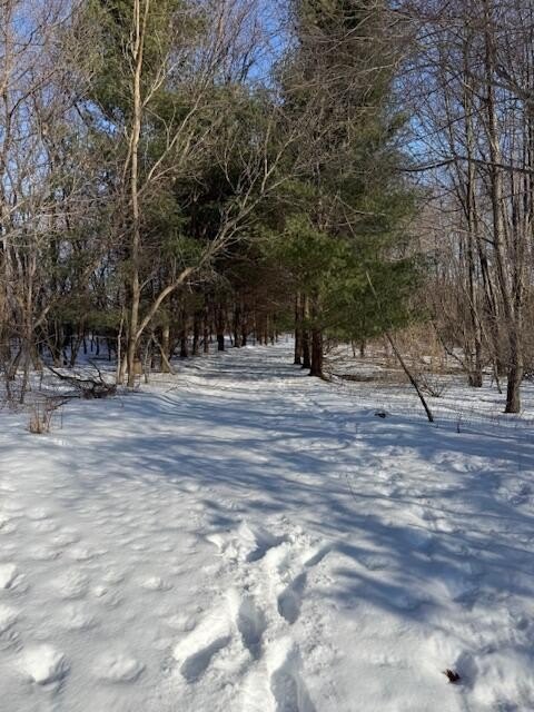 Secluded 6.6-Acre Parcel
