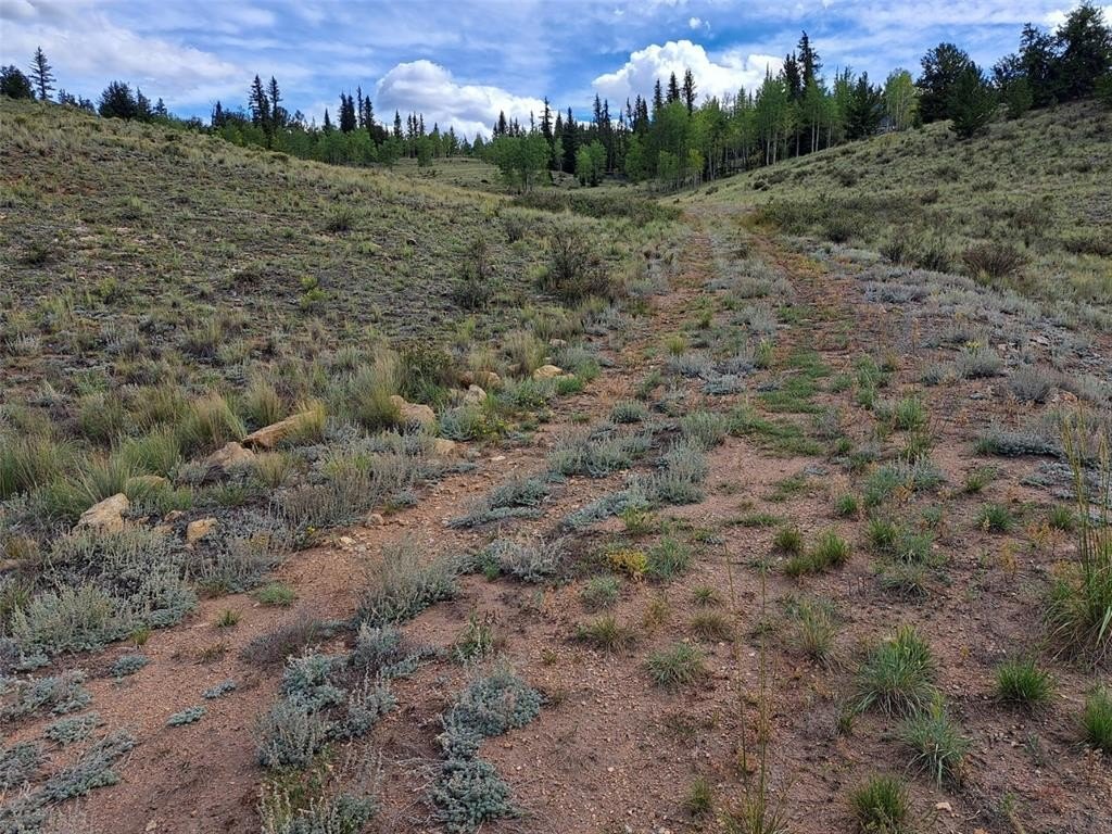 Picture 22