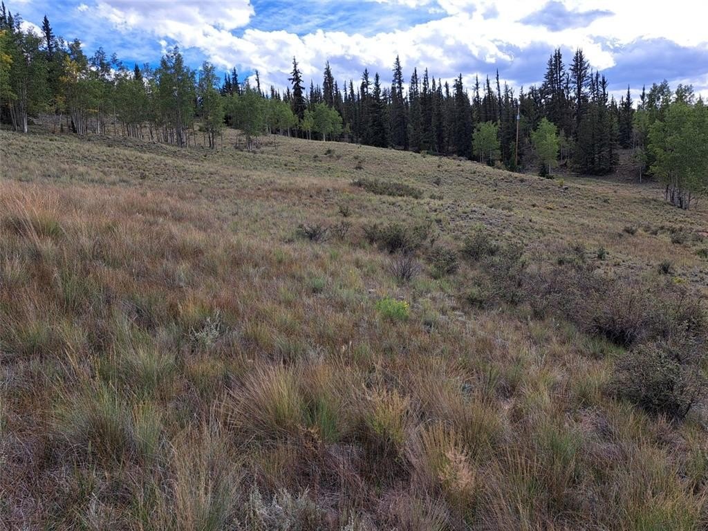 Picture 38