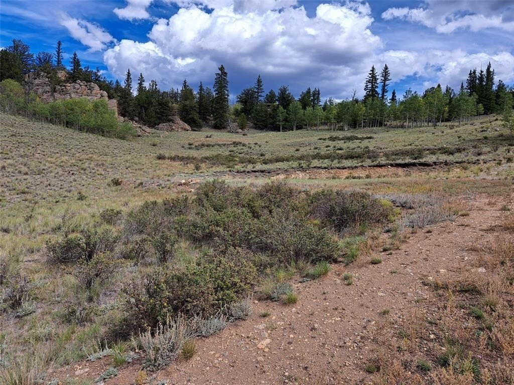 Picture 28