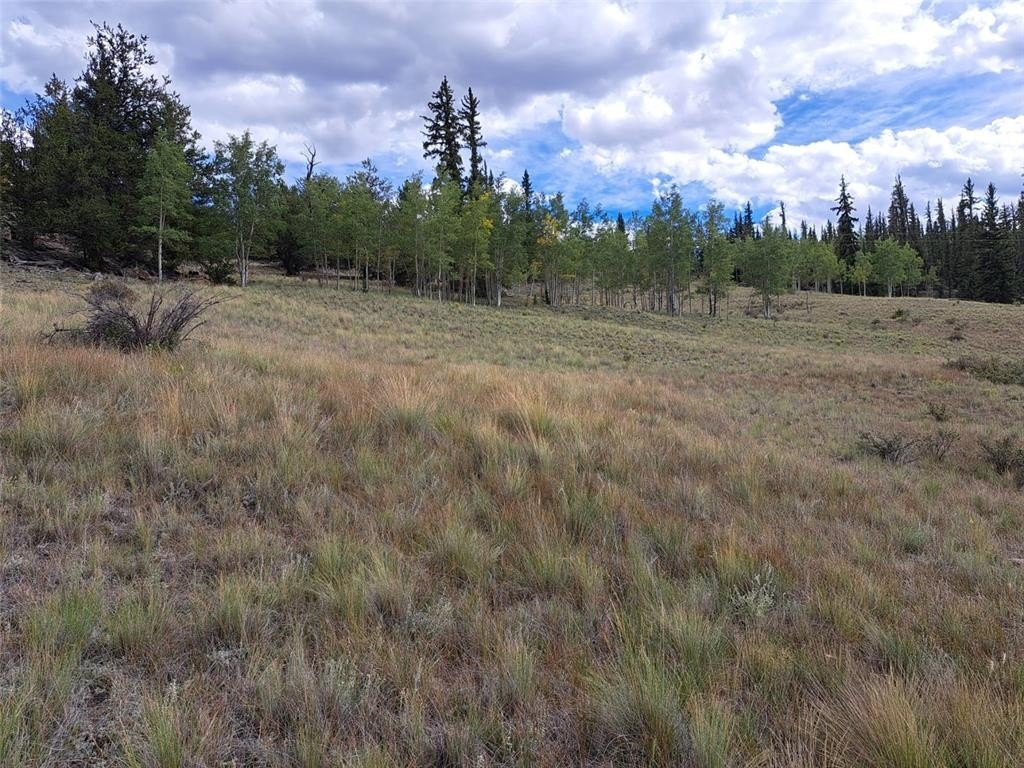Picture 24
