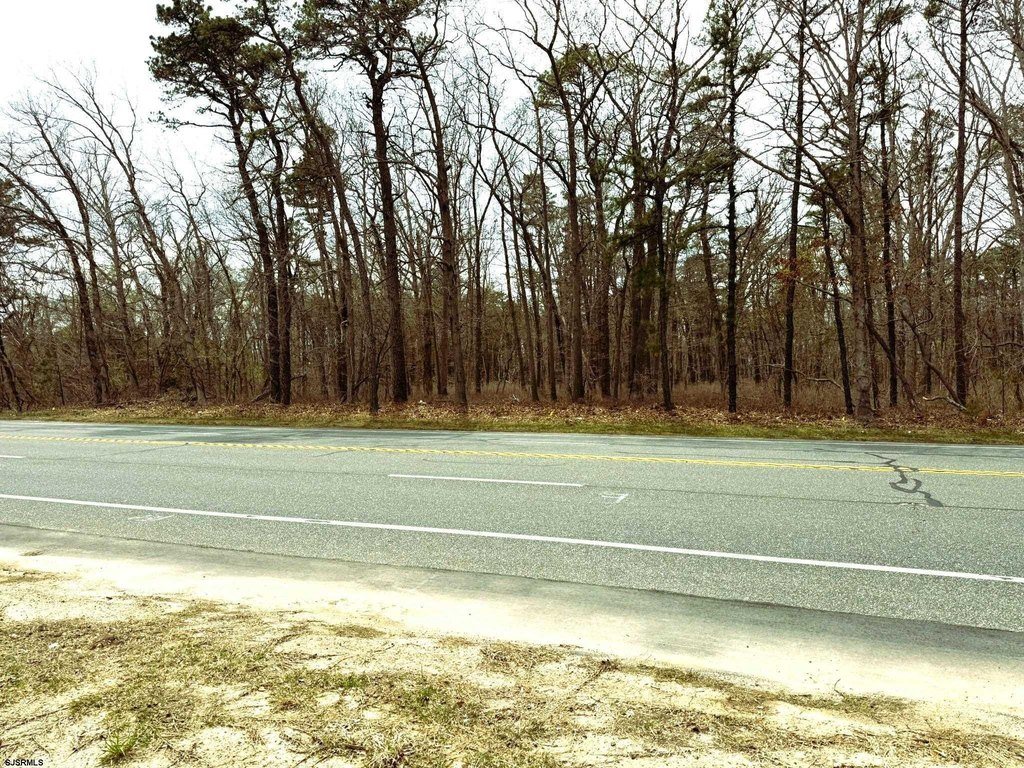 Picture 8