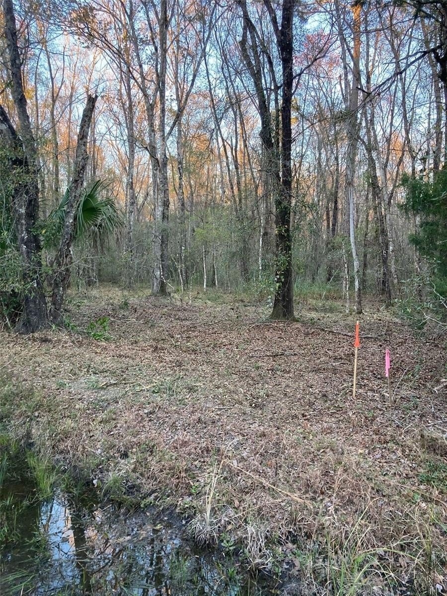 Vacant Lot in Flagler Estates
