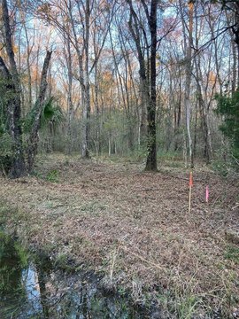 Vacant Land in Flagler Estates