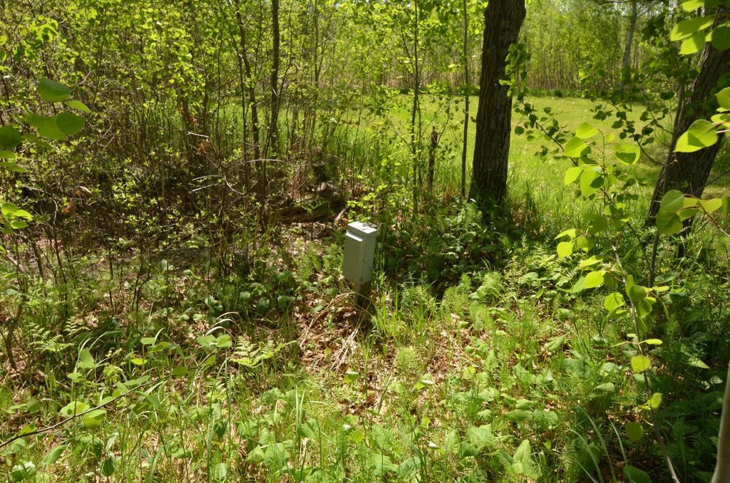 Picture 21