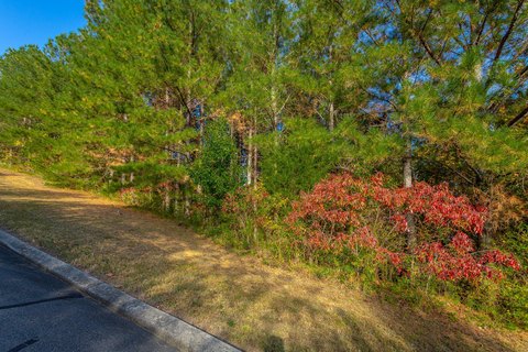 Ocoee, TN Mountain View Lot