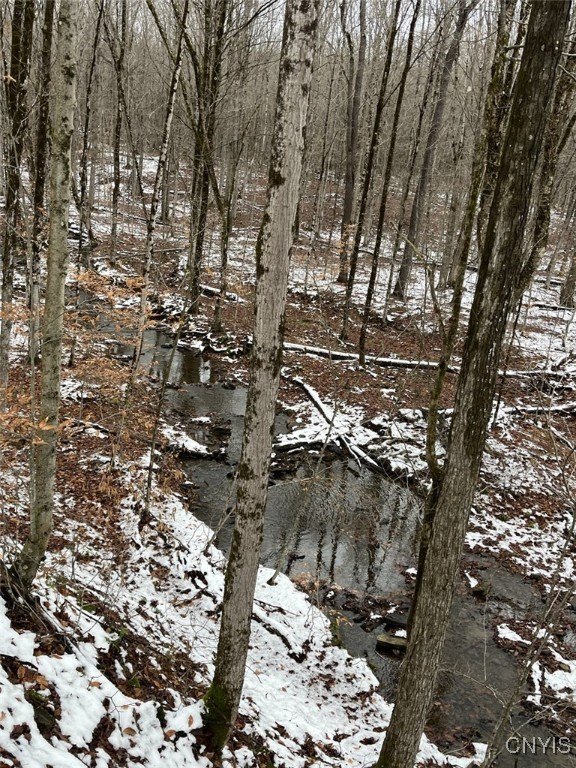 20 Acres Hunting and Recreational Land