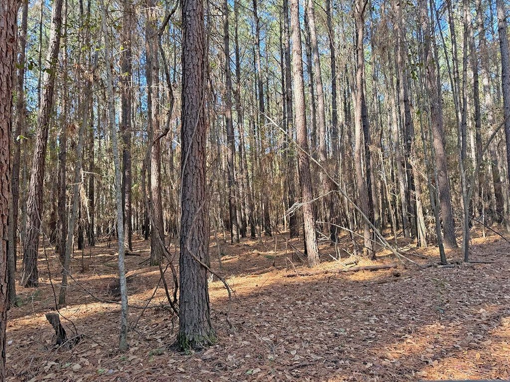Picture 14