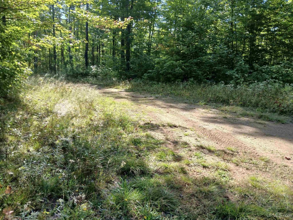 Picture 11