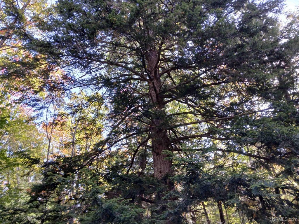 Picture 25