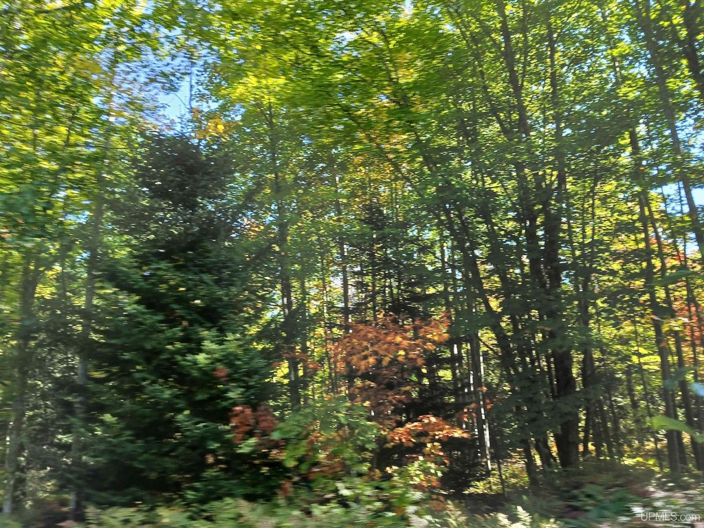 Picture 24