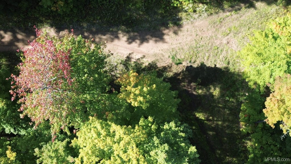 Picture 10