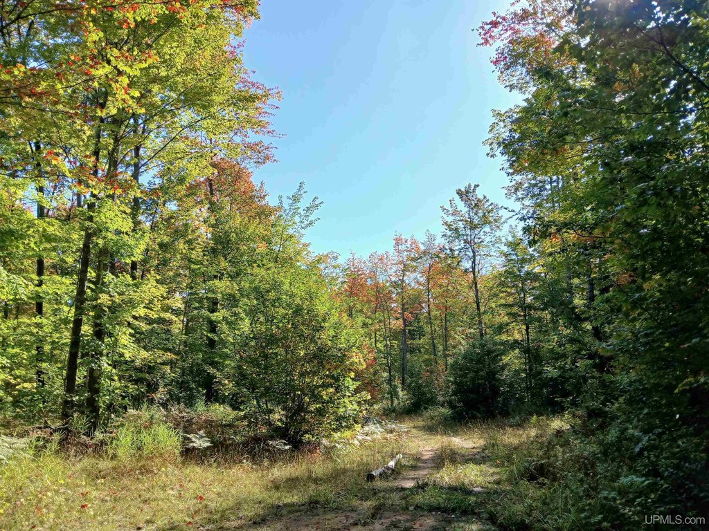 Picture 16