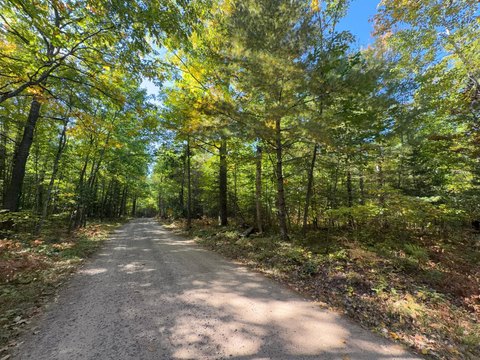 Land, Eagle River, WI