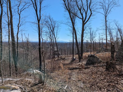 Heavily Wooded Land with Mountain Views