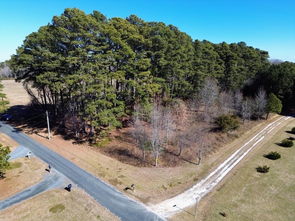 Wooded Corner Lot in Belle Haven