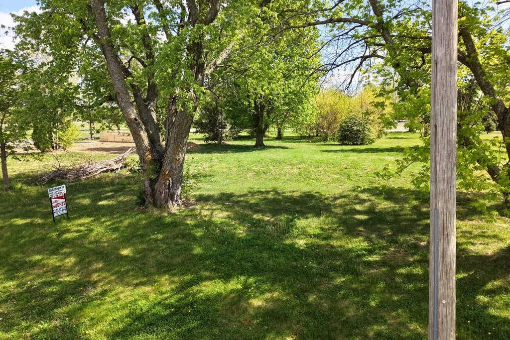 Picture 4