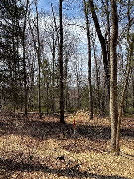 Roxbury Land with Development Potential