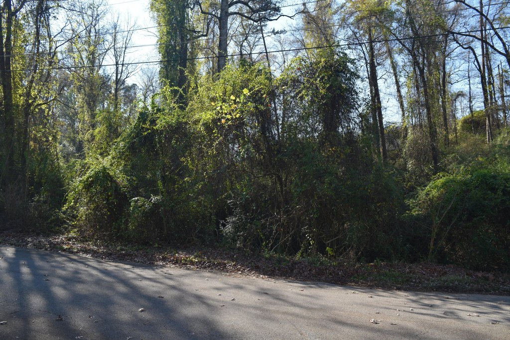 Picture 4
