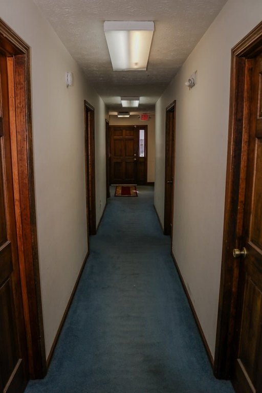 Picture 14