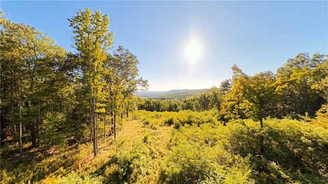 Land, Horseheads, NY