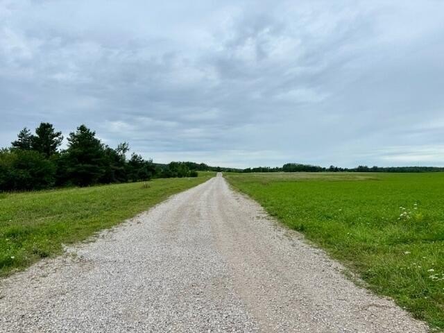 Picture 20