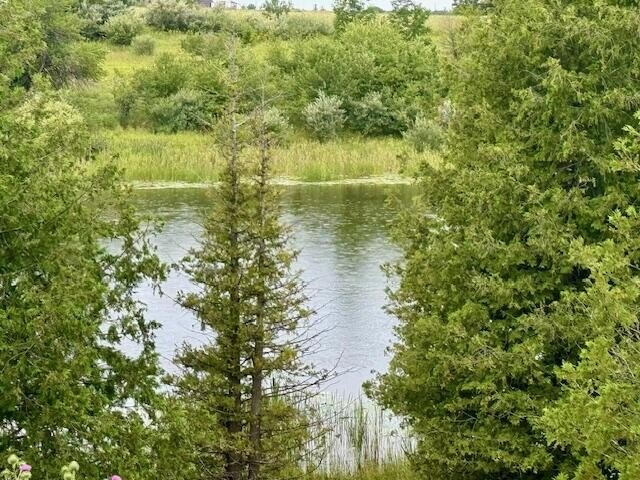 Picture 9