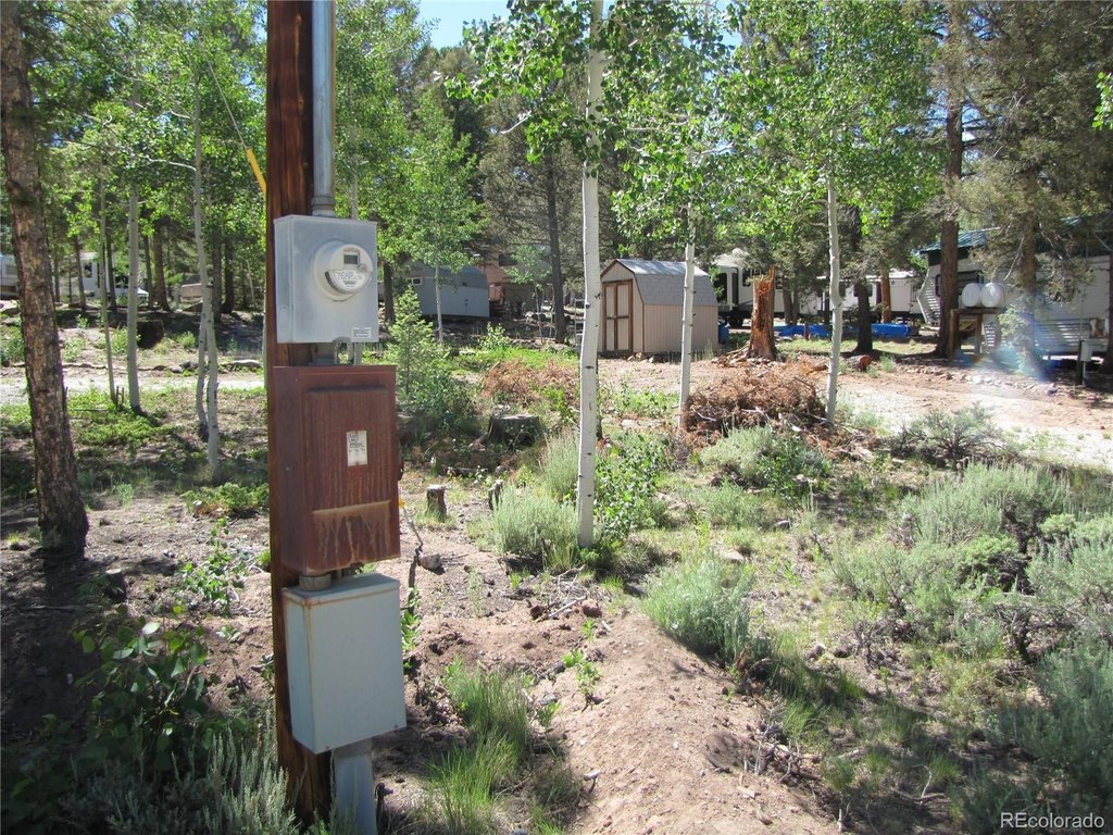 Picture 12