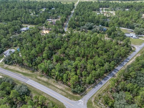 Land, CITRUS SPRINGS, FL