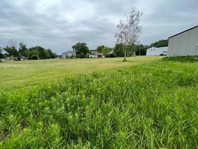 Picture 3