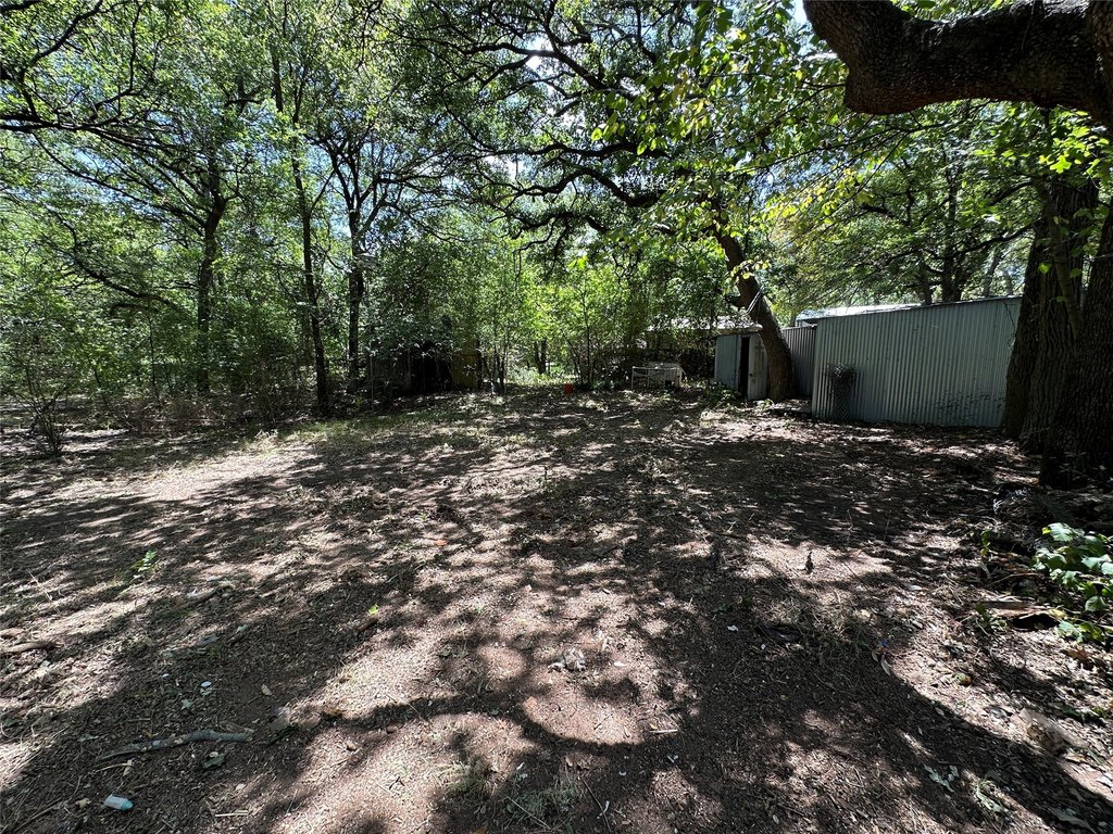 Picture 12
