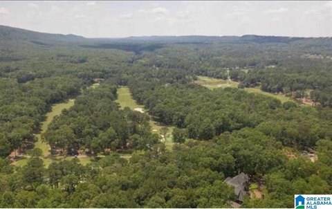 Wooded Homesite in Gated Community