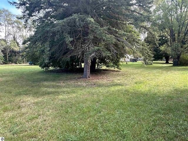 Picture 3