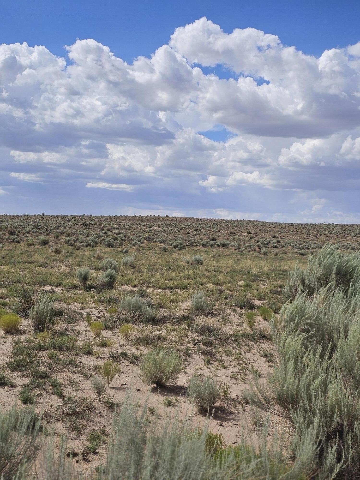 Land in Developing Rio Rancho