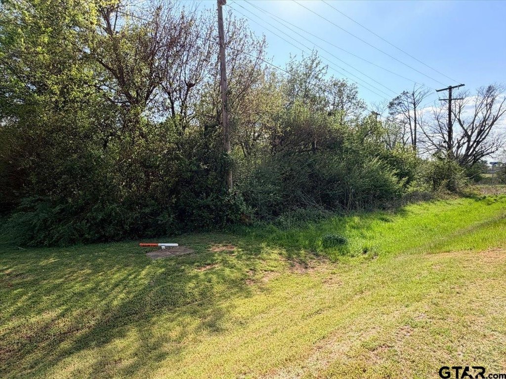 Picture 6