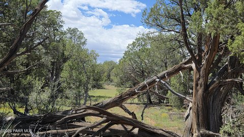 Land, Ash Fork, AZ