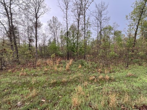 Land Near Mark Twain Forest