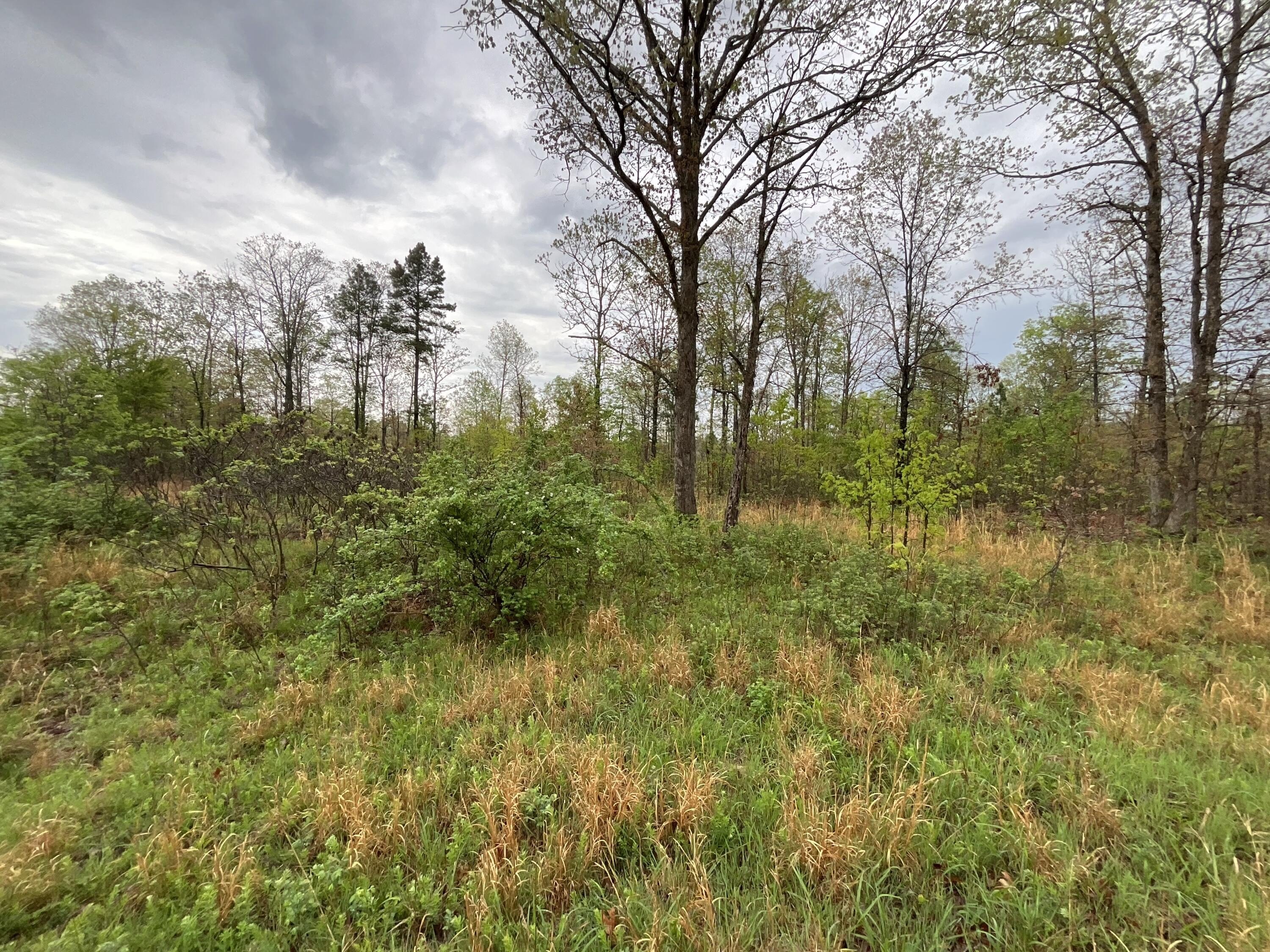 Land Near Mark Twain Forest