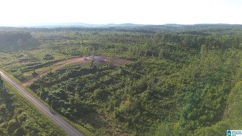 LAND/LOTS, DELTA, AL
