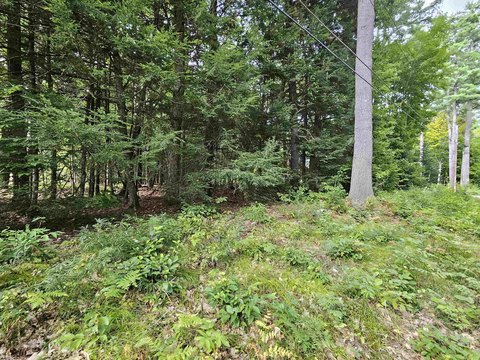 Land, Haverhill, NH