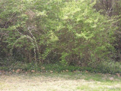 Residential Land Lot Pair