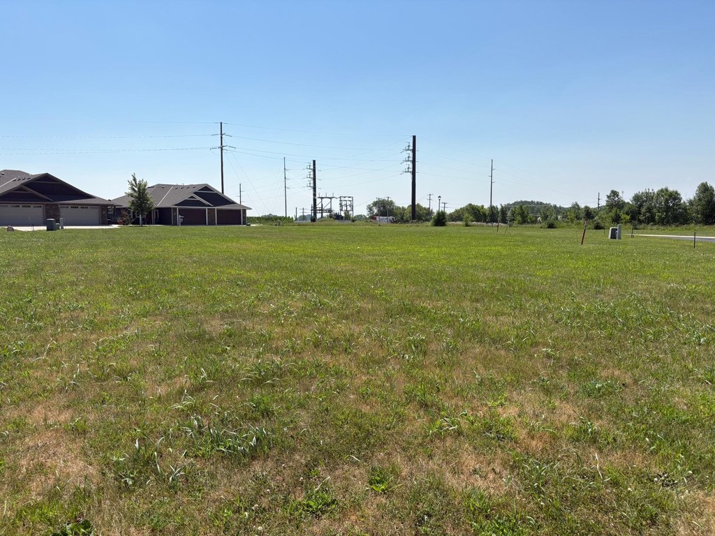 Picture 14
