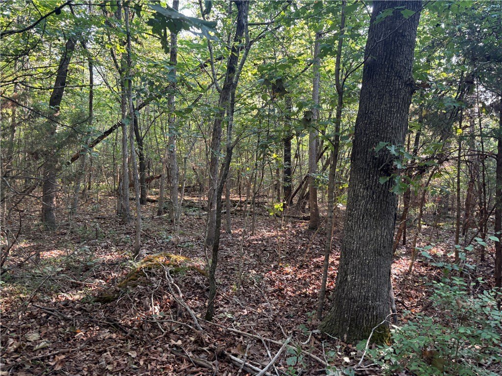 Picture 8