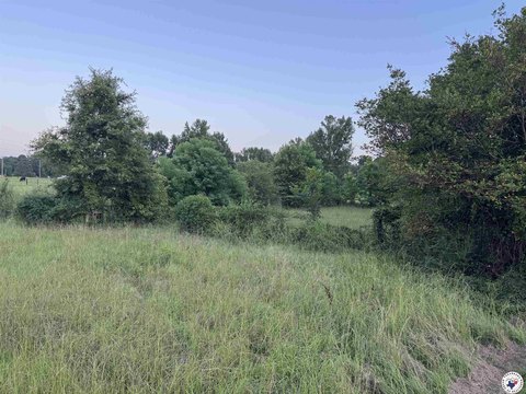 Texarkana Land for Sale