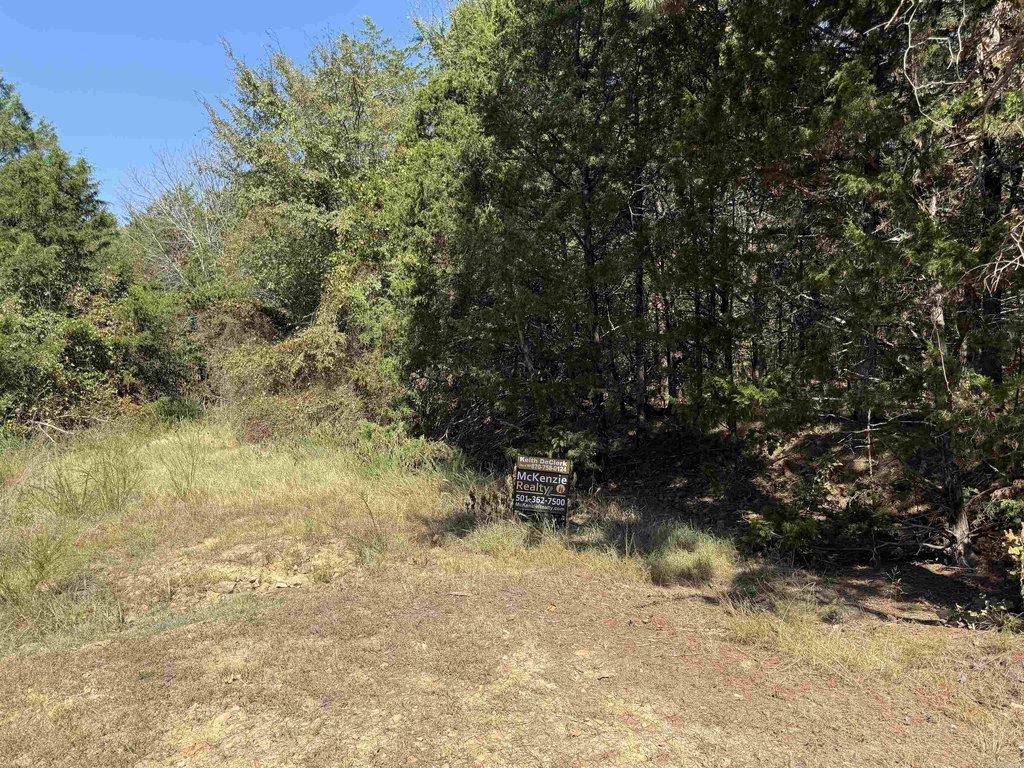Picture 3