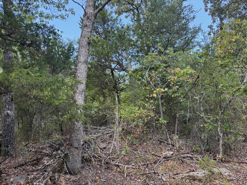 Picture 6